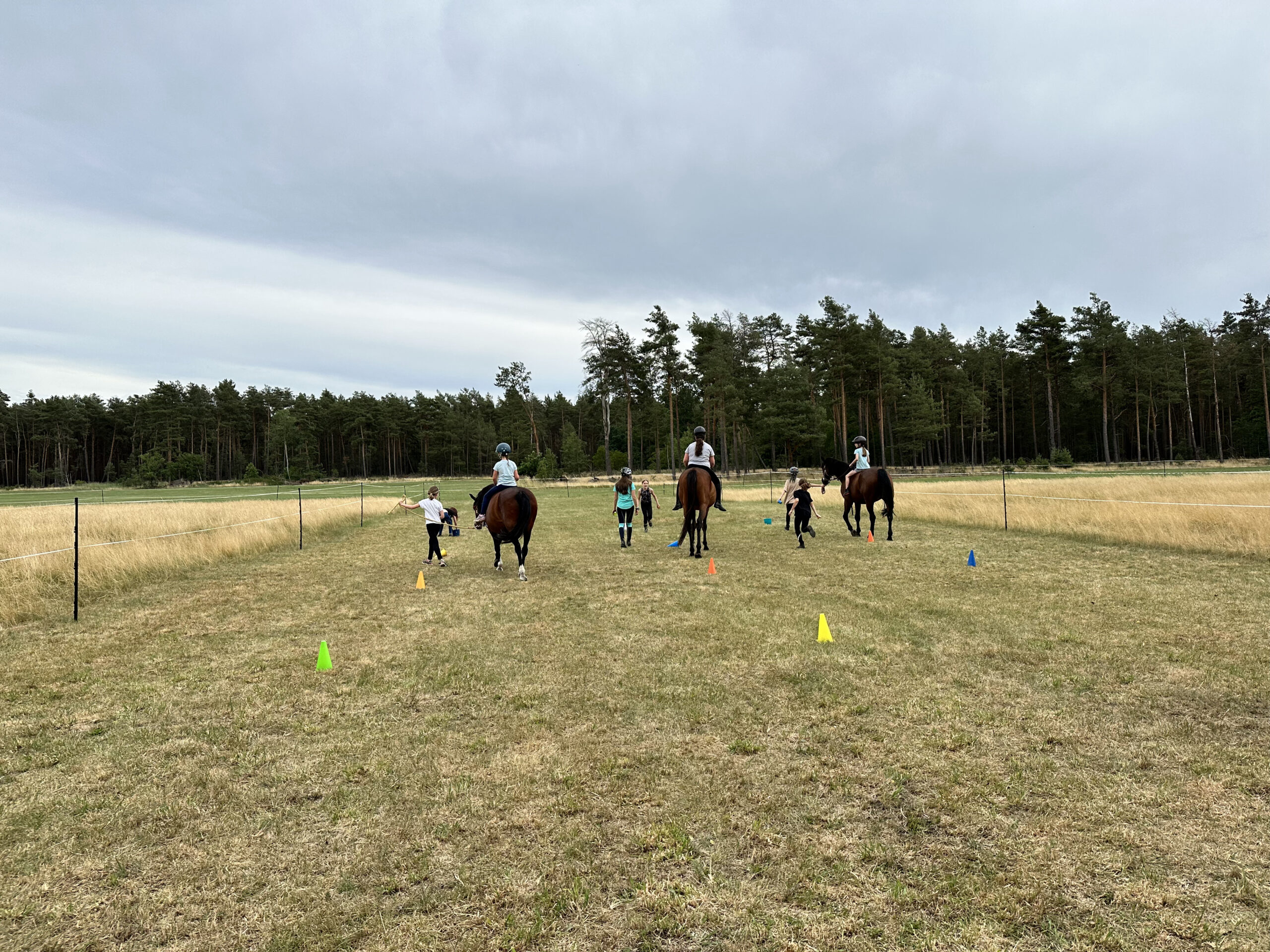 Kinderreiten-reitkurse-kinder-kinderreitkurse-hoyerswerda