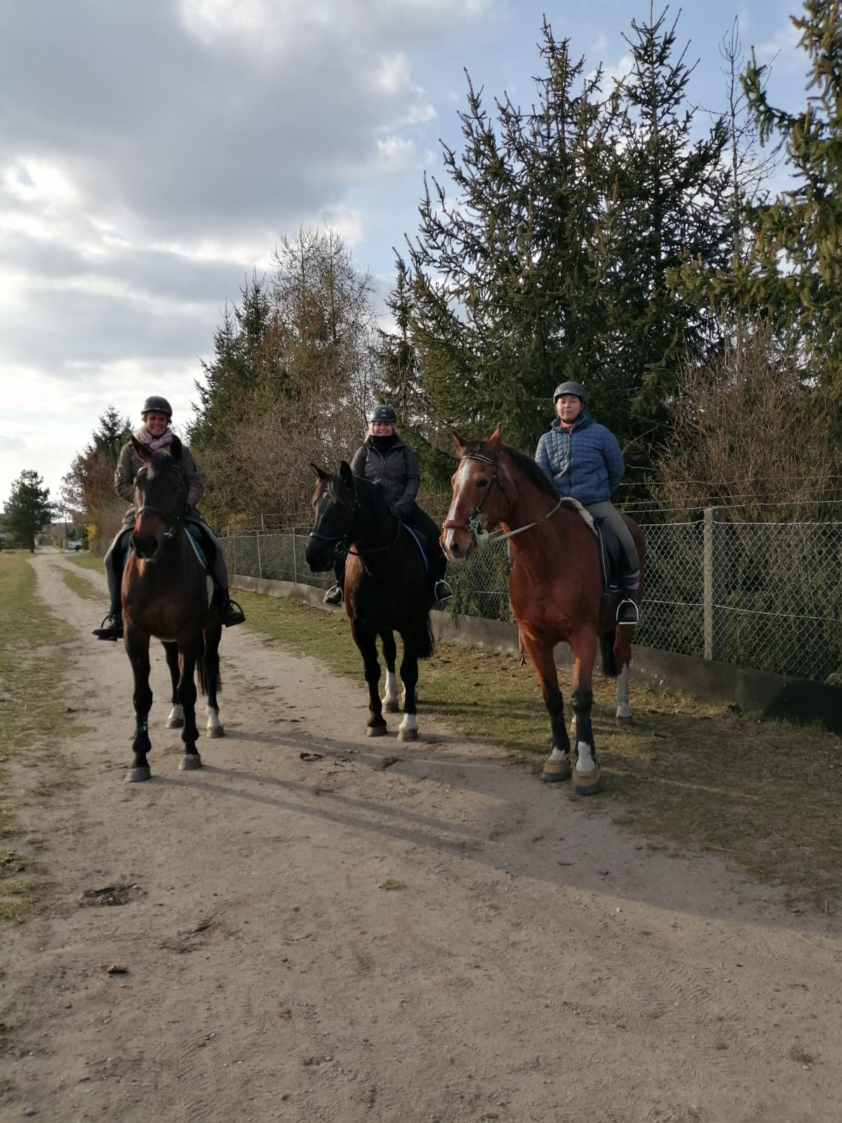 geführte-Ausritte-reiturlaub-sachsen-urlaub-auf-dem-reiterhof