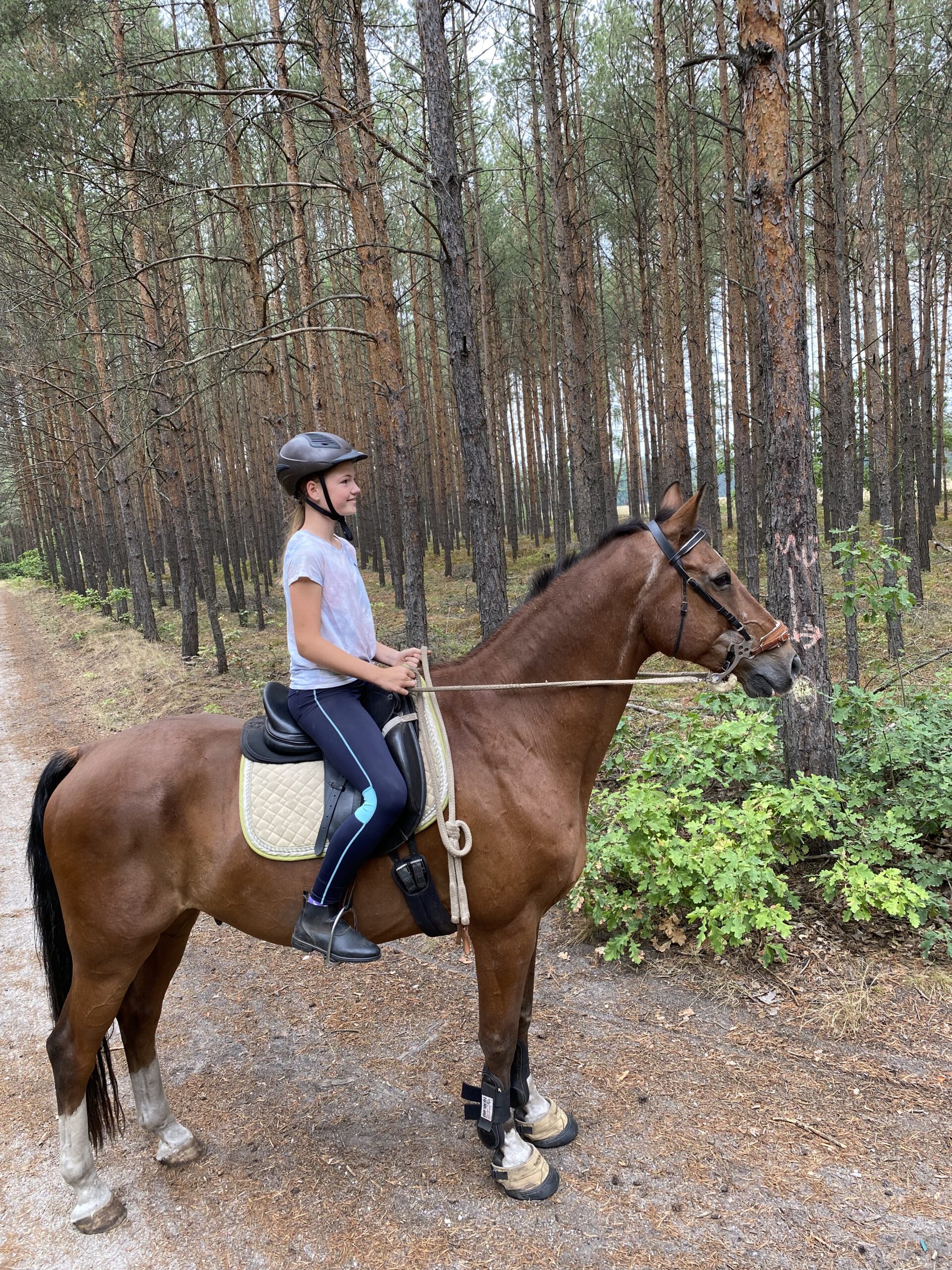 reiturlaub.urlaub-auf-dem-reiterhof-landhof-belka-sachsen-hoyerswerda